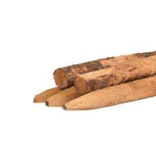 Paal kastanje geschild Ø 10-12 x 160 cm