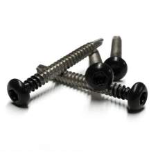 RVS schroef met gekleurde top voor NTW Castellation PRO Ebony Zwart (50 stuks)