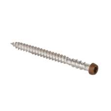 RVS schroef met gekleurde top voor NTW terrasplanken set a 100 stuks met bit Antique RVS schroef met gekleurde top voor NTW terrasplanken set a 100 stuks met bit Antique