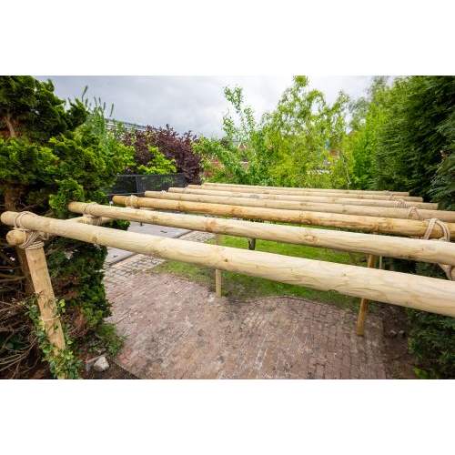 Koninklijke familie Beide stroom Ronde tuinpaal geïmpregneerd Ø12 x 600 cm ongekruind