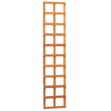 Hardhouten trellis rechthoek 40 x 180 cm