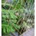 Bamboe harmonica trellis 150 x 90 cm