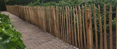 Banner 8